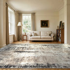 Room view: the rug on the floor of a furnished room