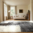 Room view: the rug on the floor of a furnished room