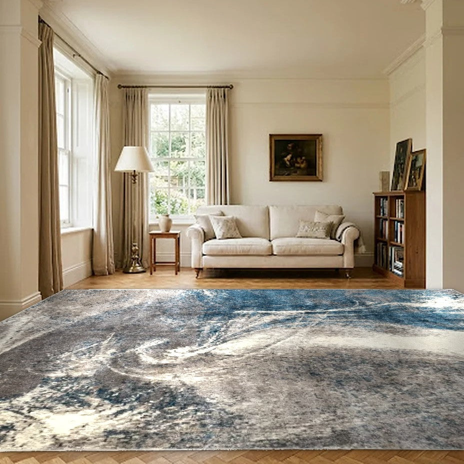 Room view: the rug on the floor of a furnished room