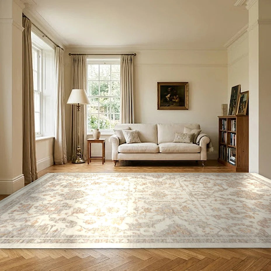 Room view: the rug on the floor of a furnished room