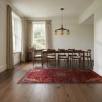 Room view: the rug on the floor of a furnished room