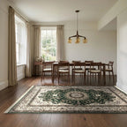 Room view: the rug on the floor of a furnished room