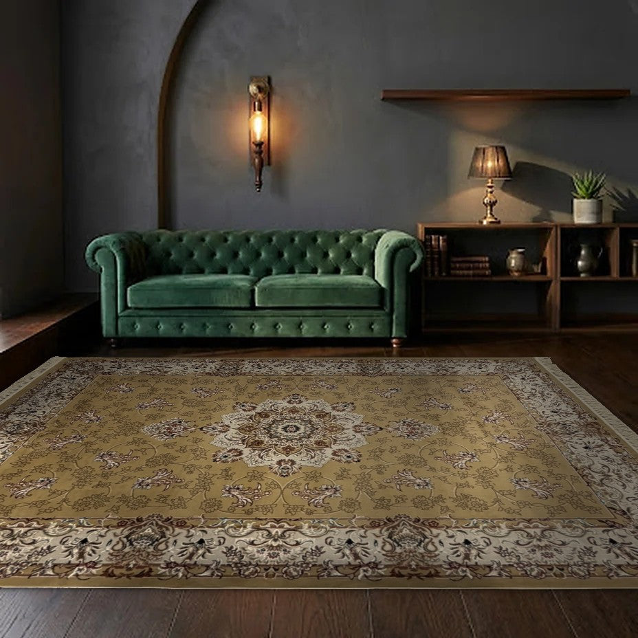 Room view: the rug on the floor of a furnished room