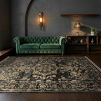 Room view: the rug on the floor of a furnished room