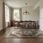 Room view: the rug on the floor of a furnished room