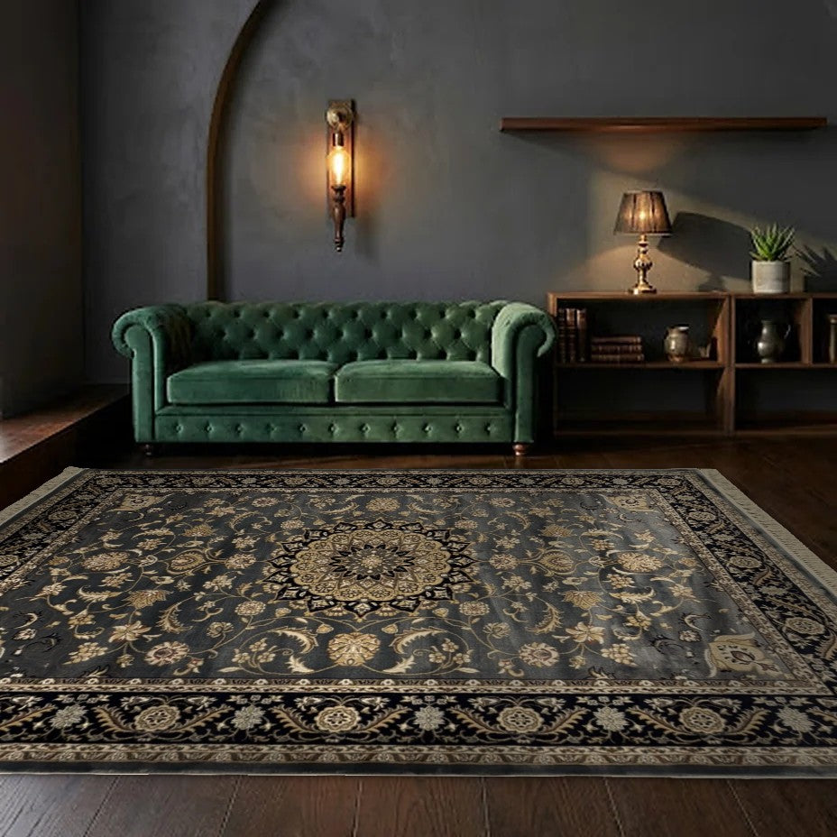 Room view: the rug on the floor of a furnished room