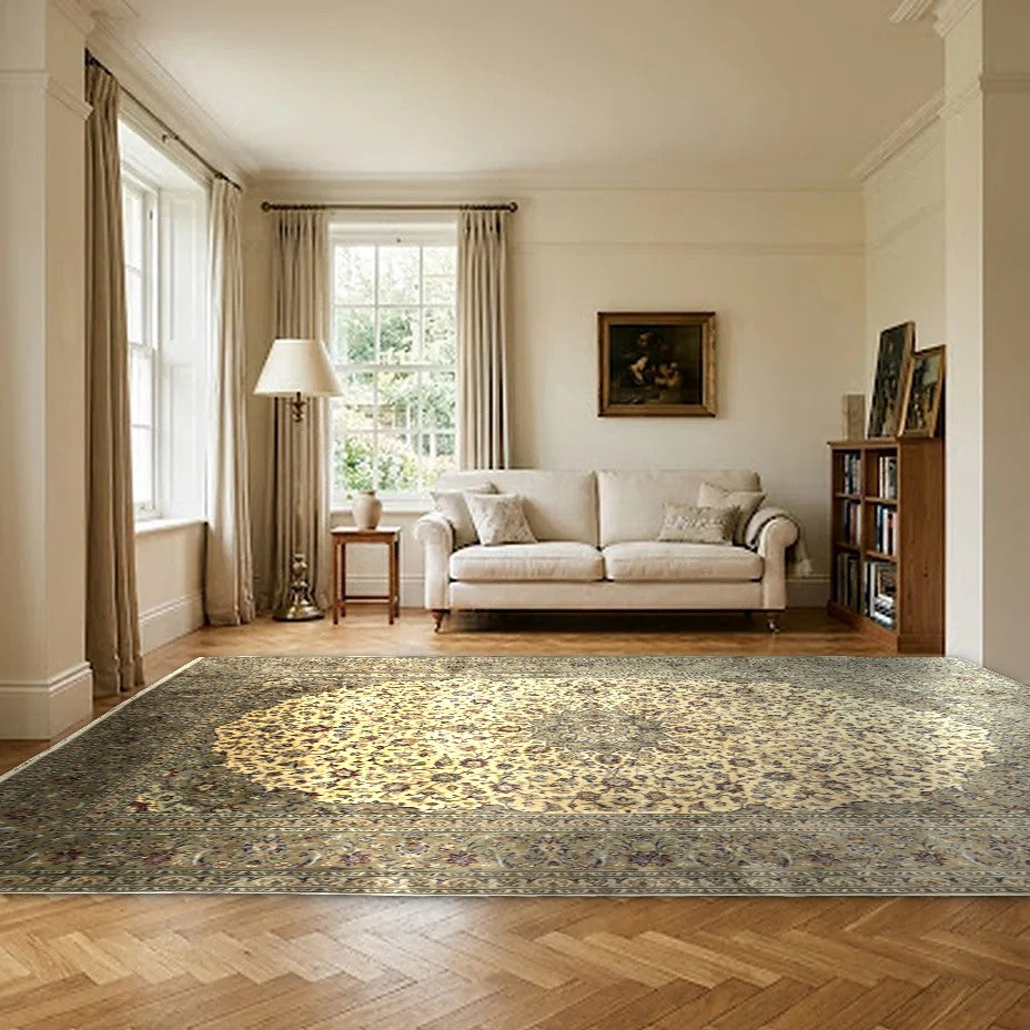 Room view: the rug on the floor of a furnished room