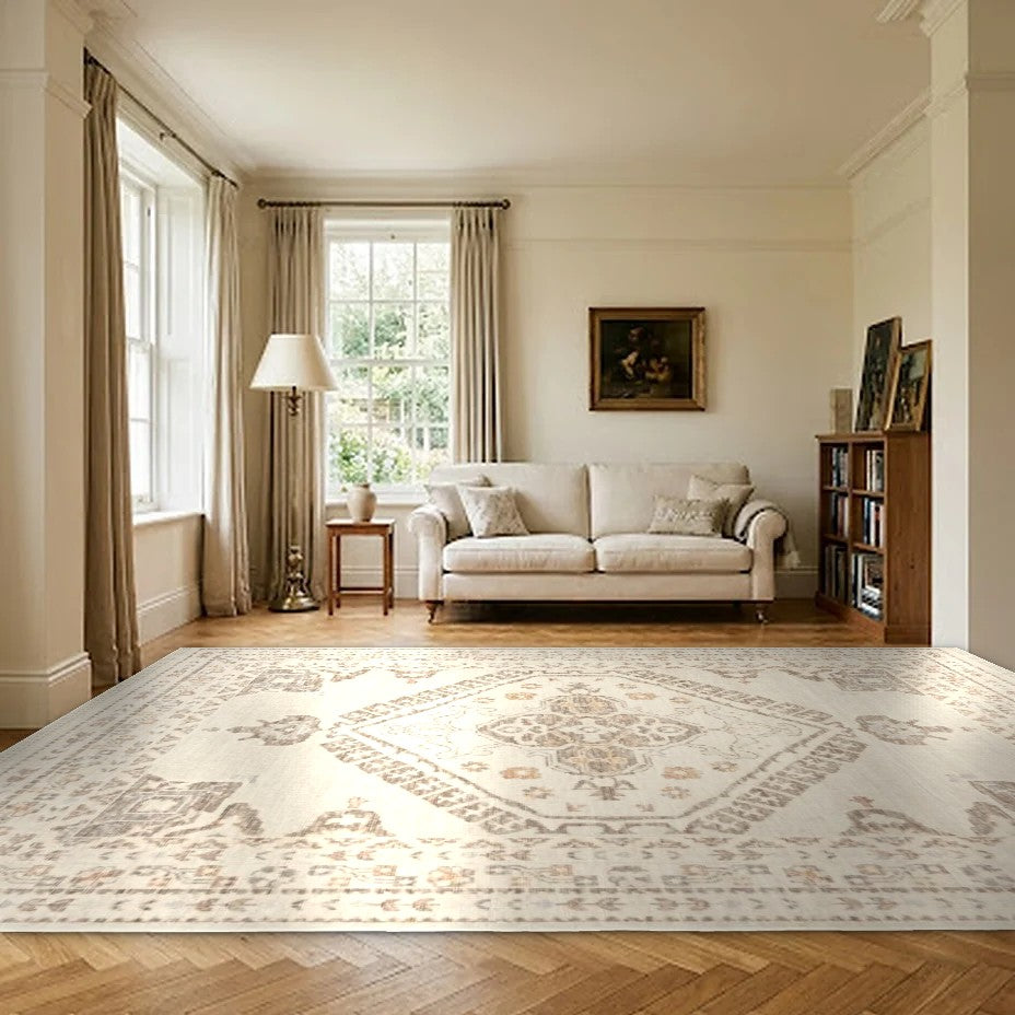 Room view: the rug on the floor of a furnished room