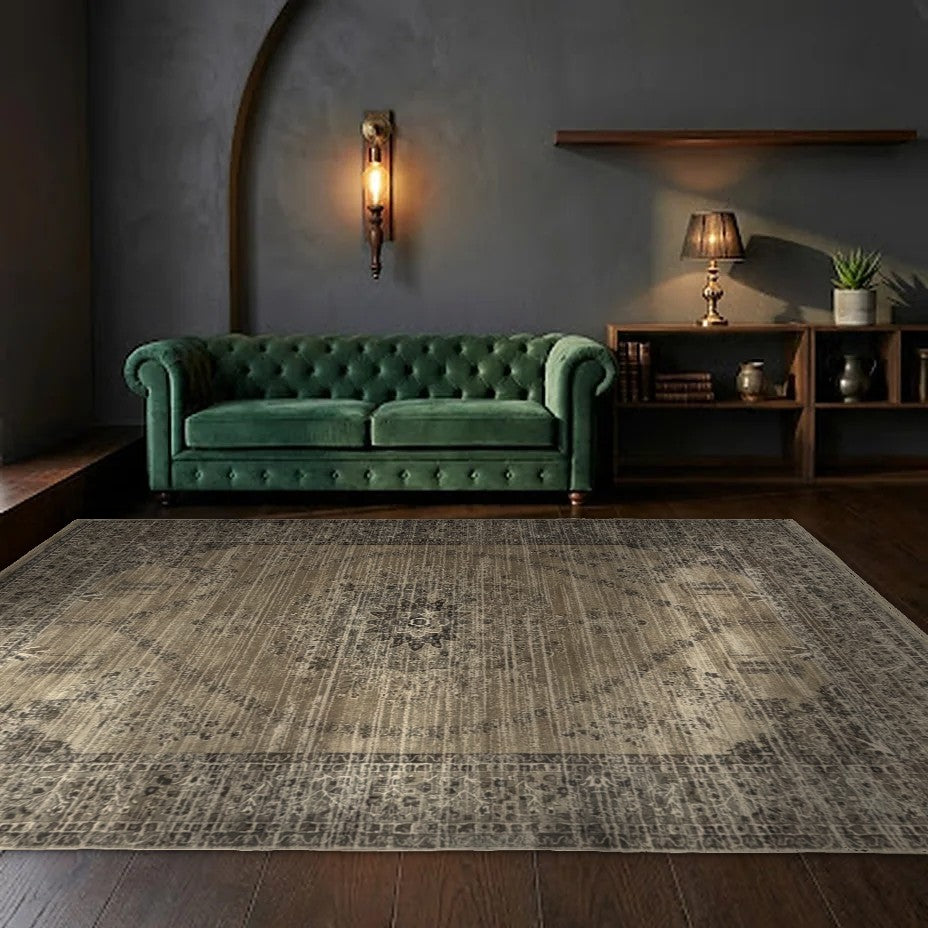 Room view: the rug on the floor of a furnished room