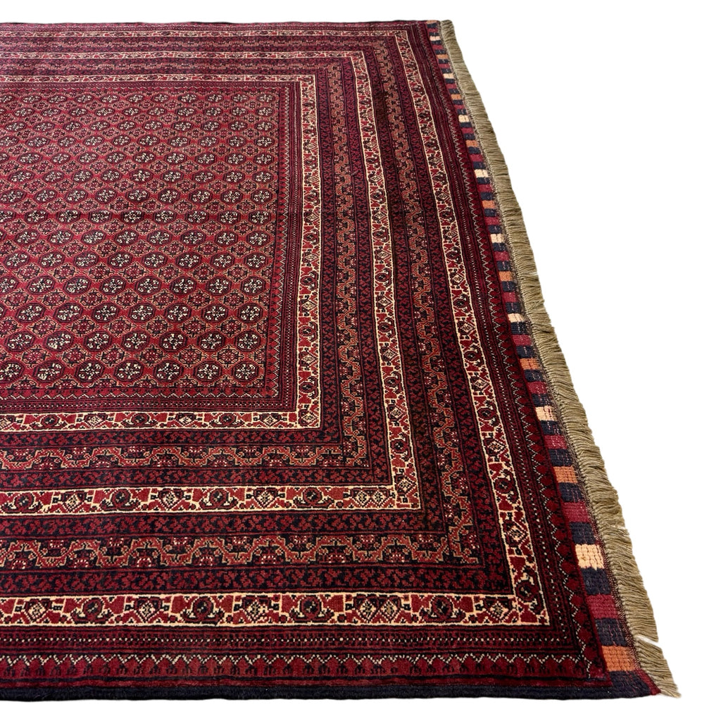 300 x 200 cm Hand-Knotted Afghan Khoja Roshnai Geometric Rug