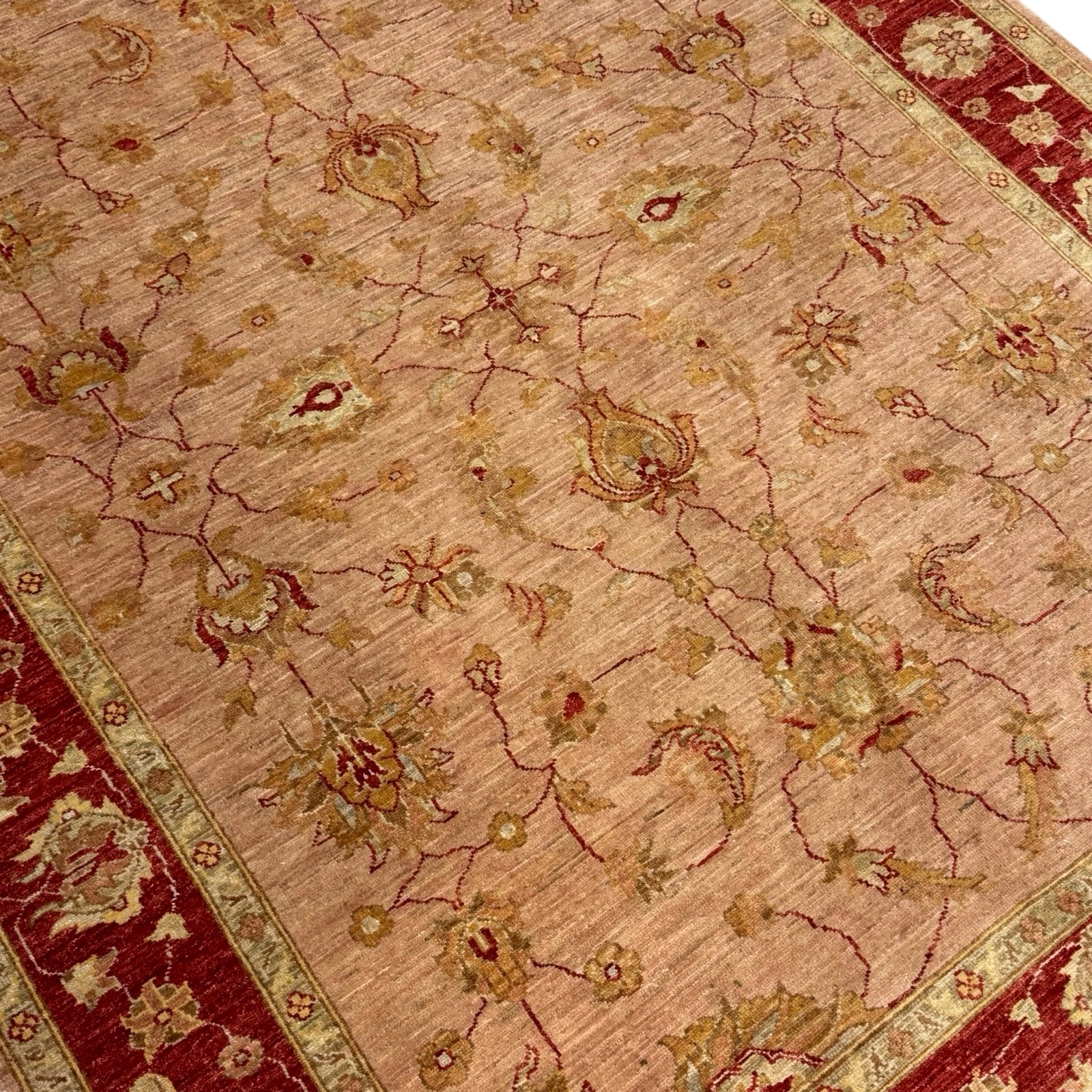 241 x 188 cm Afghan Chobi Ziegler Hand-Knotted Wool Rug