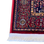 600 x 80cm Persian Bakhtiari Garden – Red Runner Rug