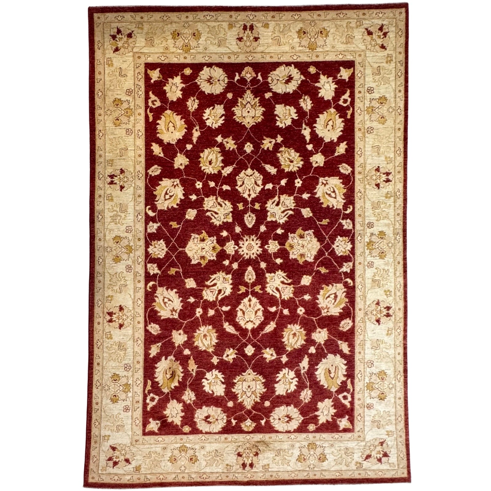 294 x 193 cm Afghan Chobi Ziegler Hand-Knotted Wool Rug