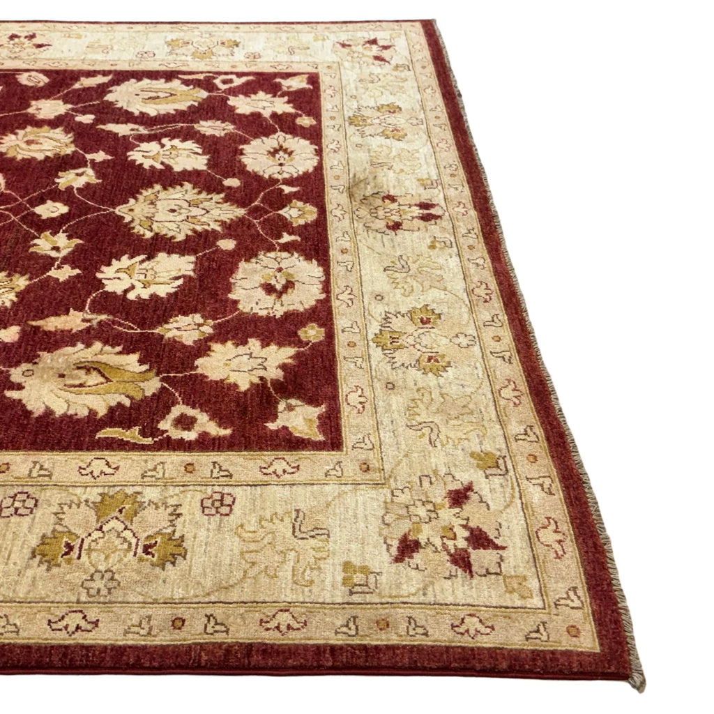 294 x 193 cm Afghan Chobi Ziegler Hand-Knotted Wool Rug