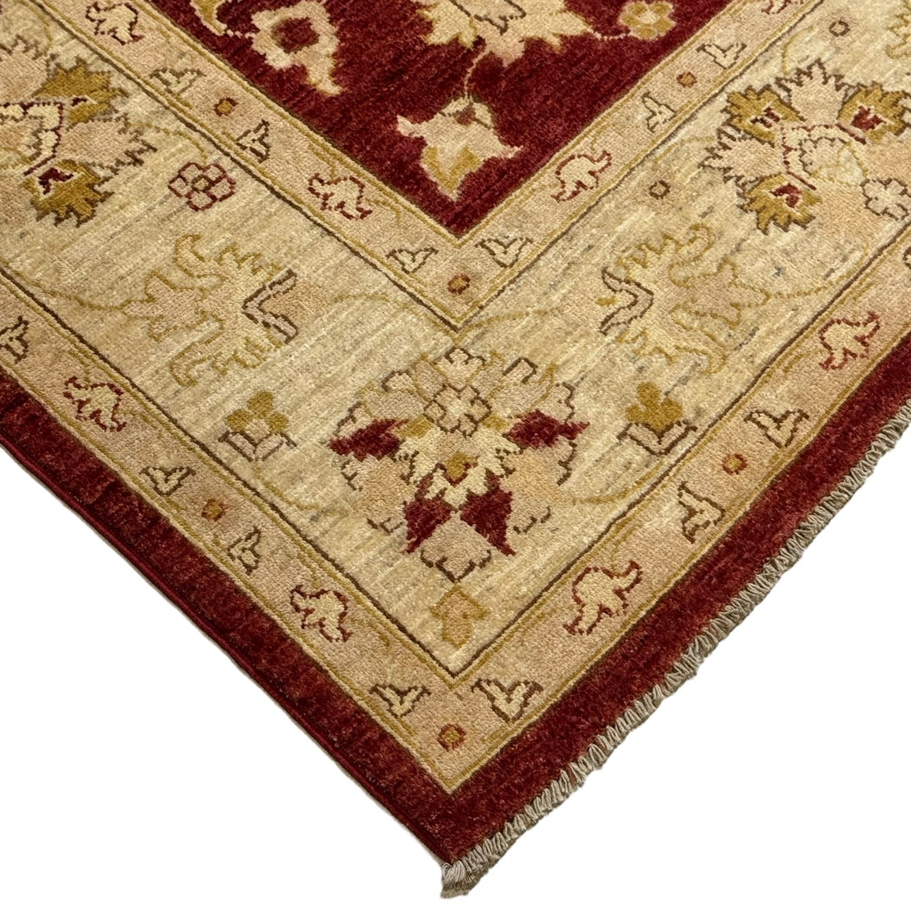 294 x 193 cm Afghan Chobi Ziegler Hand-Knotted Wool Rug