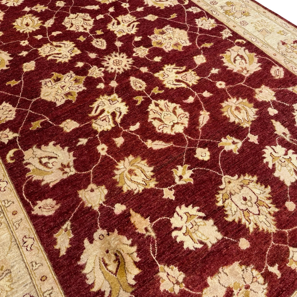 294 x 193 cm Afghan Chobi Ziegler Hand-Knotted Wool Rug