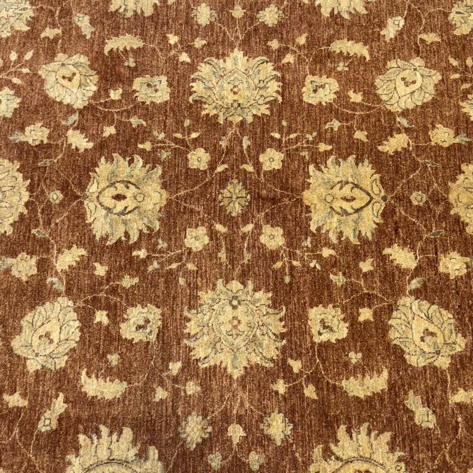 267 x 209 cm Afghan Chobi Ziegler Hand-Knotted Wool Rug