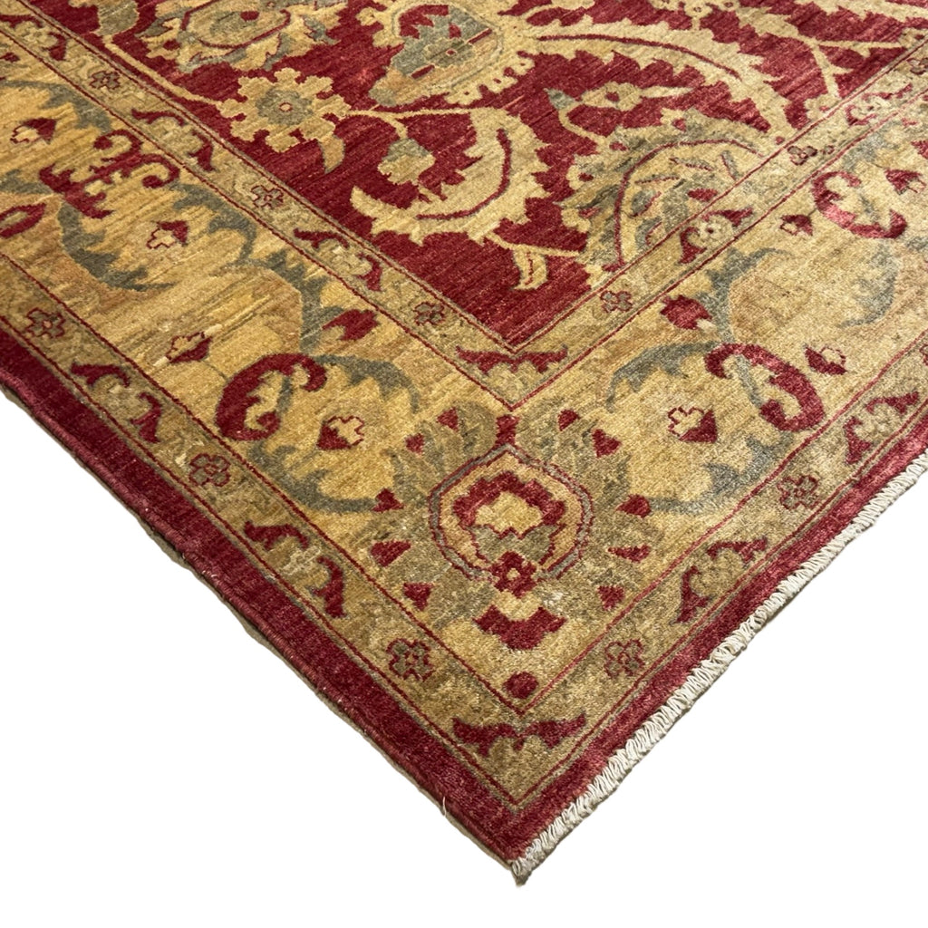290 x 200 cm Afghan Chobi Ziegler Hand-Knotted Wool Rug