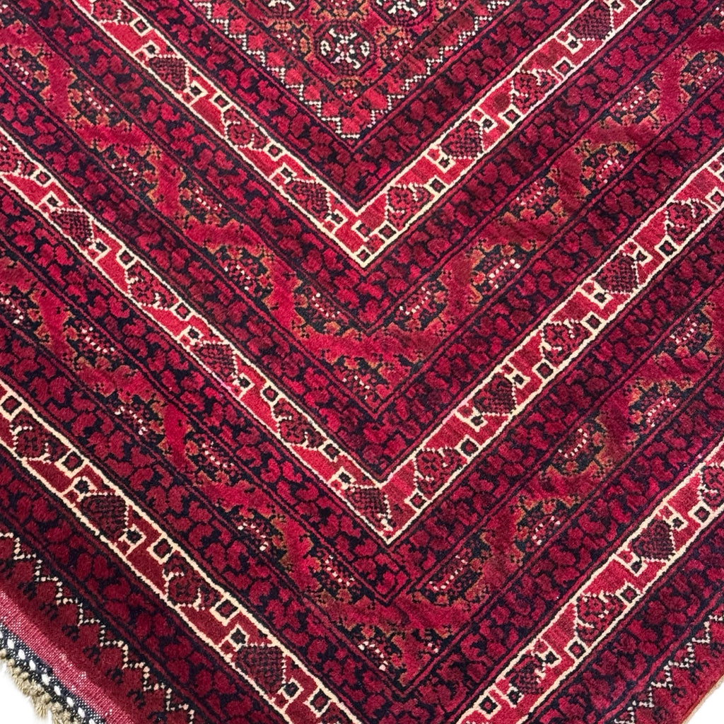 300 x 200 cm Hand-Knotted Afghan Khoja Roshnai Geometric Rug