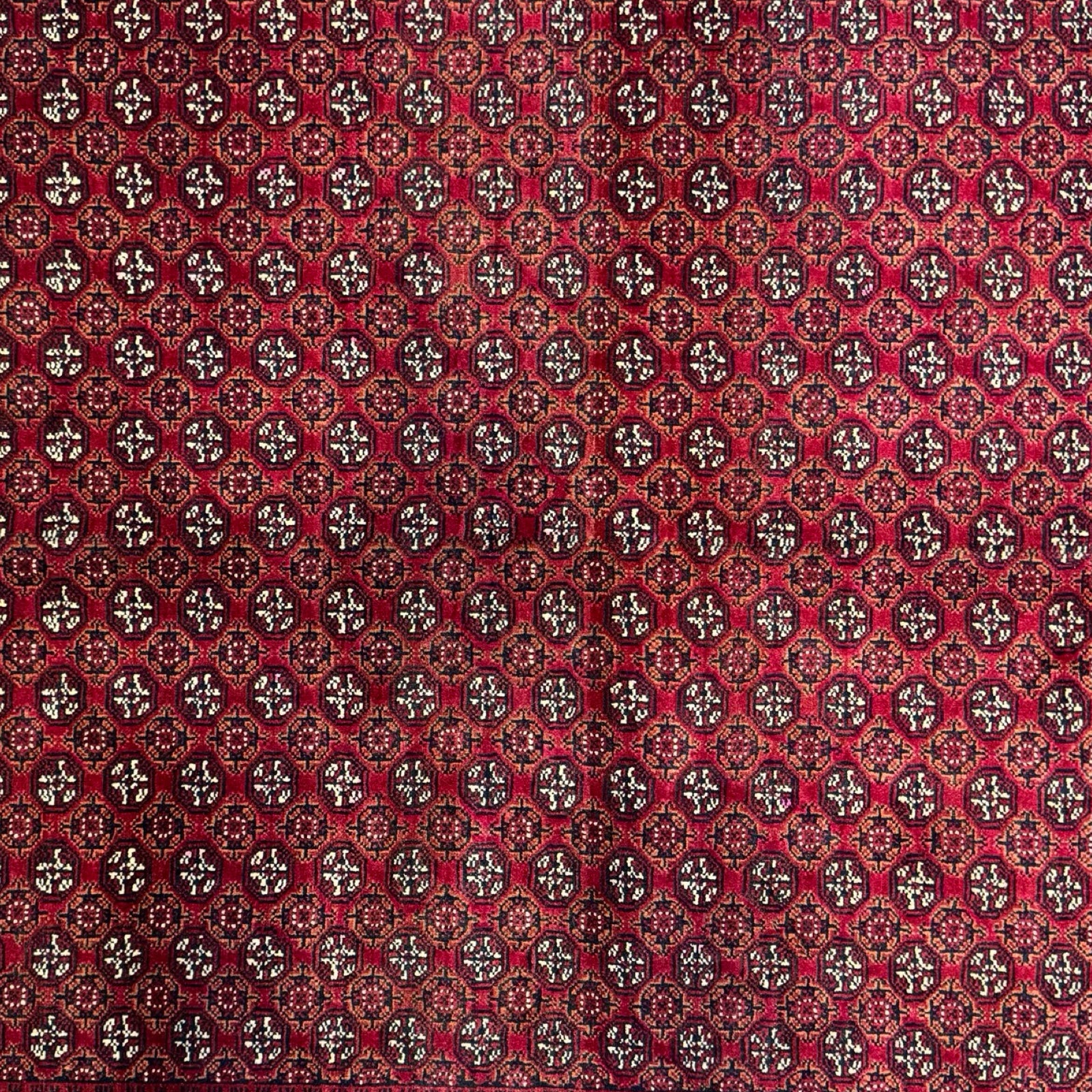 300 x 200 cm Hand-Knotted Afghan Khoja Roshnai Geometric Rug